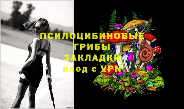 мяу мяу мука Алексеевка