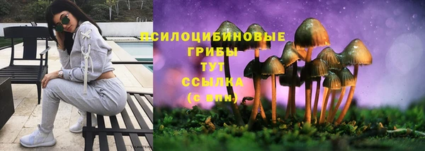мяу мяу мука Алексеевка