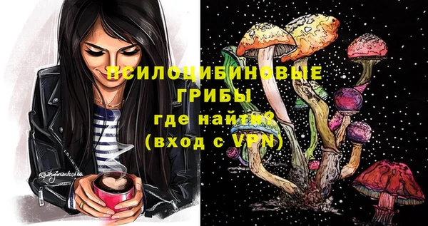мяу мяу мука Алексин