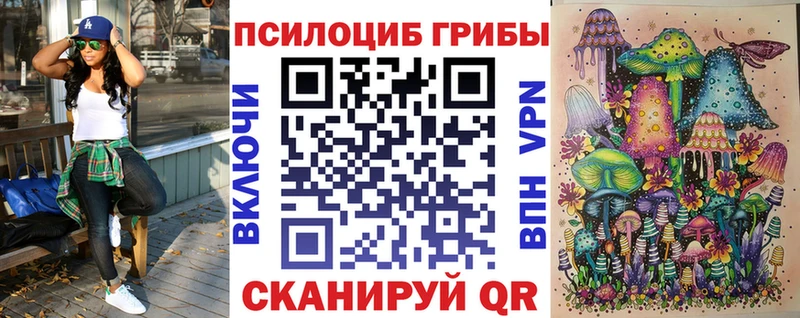 darknet наркотические препараты  продажа наркотиков  Люберцы  Галлюциногенные грибы Cubensis 