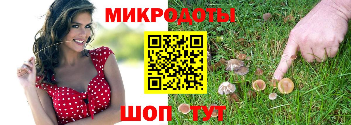 Псилоцибиновые грибы Cubensis Люберцы